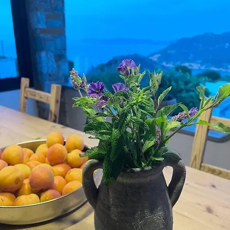 Marbury Heights Skopelos Town Pool Secluded & Stunning *