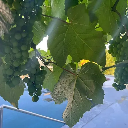 Marbury Heights Skopelos Town Pool Secluded & Stunning 빌라 Karya