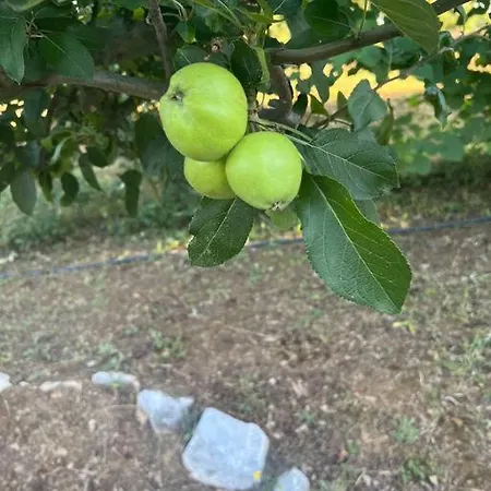 Marbury Heights Skopelos Town Pool Secluded & Stunning *