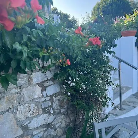 Marbury Heights Skopelos Town Pool Secluded & Stunning