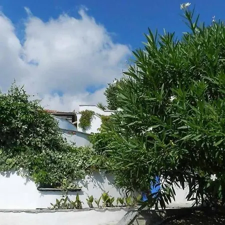 Marbury Heights Skopelos Town Pool Secluded & Stunning