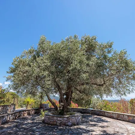 וילה Marbury Heights Skopelos Town Pool Secluded & Stunning *