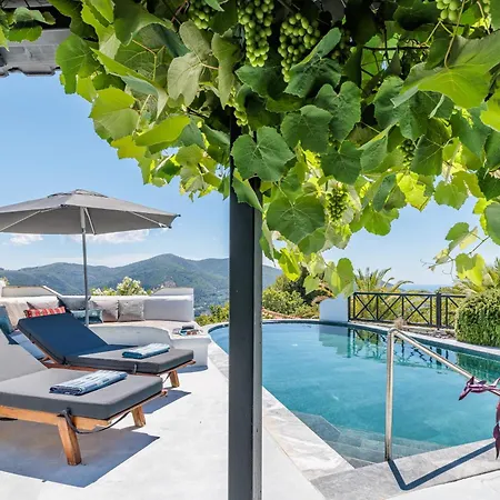 Marbury Heights Skopelos Town Pool Secluded & Stunning וילה