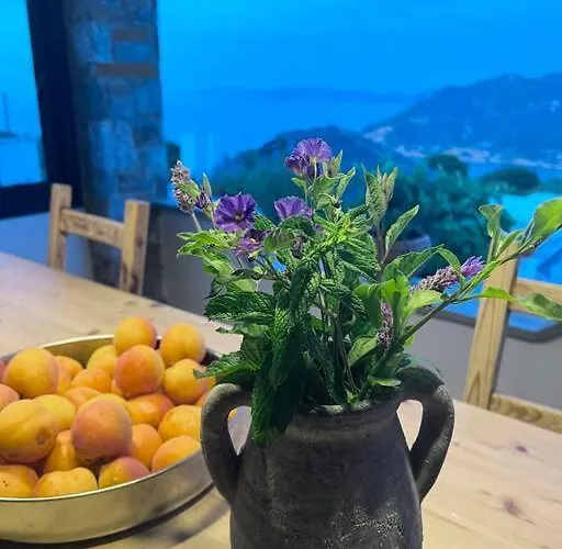 Marbury Heights Skopelos Town Pool Secluded & Stunning *