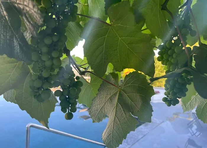 Marbury Heights Skopelos Town Pool Secluded & Stunning Vila Karya