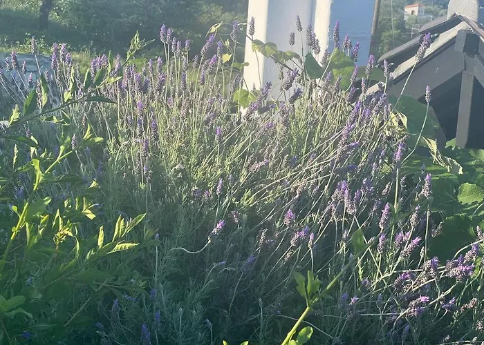 Marbury Heights Skopelos Town Pool Secluded & Stunning