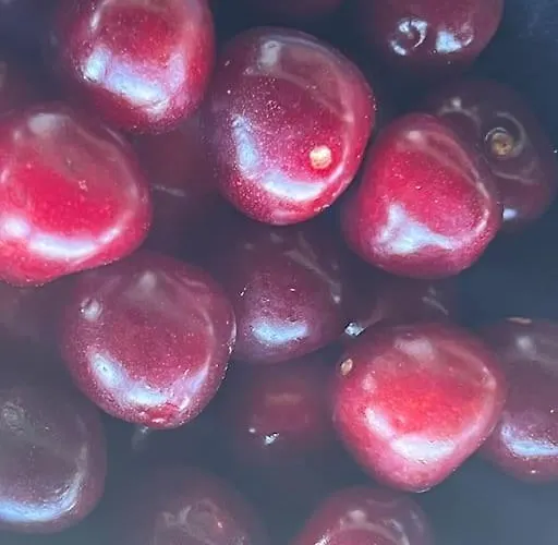 Marbury Heights Skopelos Town Pool Secluded & Stunning Karya