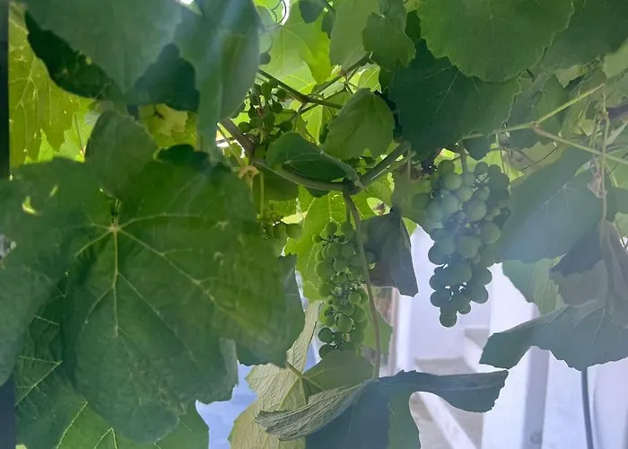 Vila Marbury Heights Skopelos Town Pool Secluded & Stunning Karya