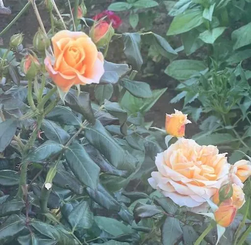 Marbury Heights Skopelos Town Pool Secluded & Stunning Vila *